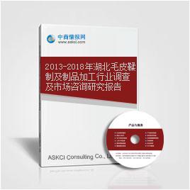 2013-2018年湖北毛皮鞣制及制品加工行業調查及市場咨詢研究報告